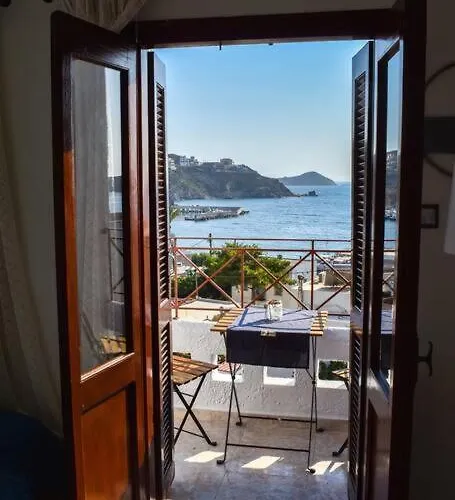 Celeste House Myrties