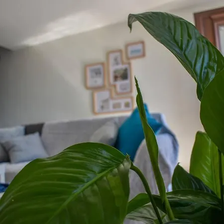 Tatil Evi Celeste House