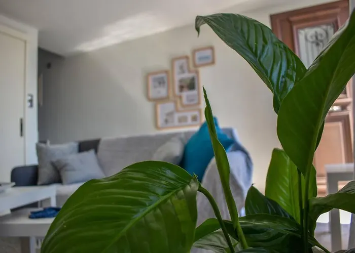 Tatil Evi Celeste House